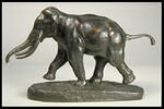 Éléphant de Cochinchine, image 4/7