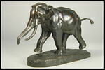 Éléphant de Cochinchine, image 5/7