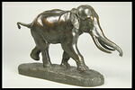 Éléphant de Cochinchine, image 6/7