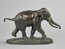 Éléphant de Cochinchine, image 3/7
