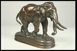Éléphant d'Asie, image 6/7