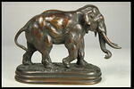 Éléphant d'Asie, image 7/7