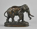 Éléphant d'Asie, image 3/7