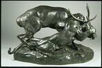 Panthère saisissant un cerf, image 1/7