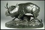 Panthère saisissant un cerf, image 3/7