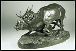 Panthère saisissant un cerf, image 4/7