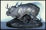 Panthère saisissant un cerf, image 6/7