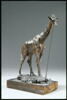 Girafe, image 7/14