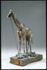 Girafe, image 8/14