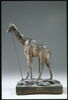Girafe, image 9/14
