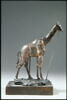 Girafe, image 10/14