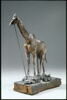 Girafe, image 13/14