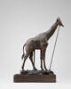 Girafe, image 2/14