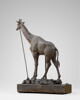 Girafe, image 4/14