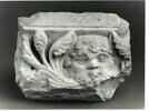 Fragment de tailloir décoré d'un masque barbu et de deux départs de rinceaux constitués de palmettes et de pommes de pin, image 4/4
