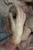 La Vierge et l'Enfant, image 5/19