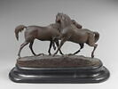 Tachiani et Nedjebe chevaux arabes, image 2/9