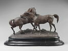 Tachiani et Nedjebe chevaux arabes, image 1/9