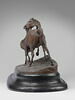 Tachiani et Nedjebe chevaux arabes, image 4/9