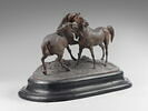 Tachiani et Nedjebe chevaux arabes, image 6/9