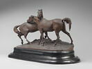 Tachiani et Nedjebe chevaux arabes, image 7/9