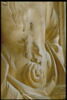 Jeanne de Bourbon Vendôme, duchesse de Bourbon puis comtesse de Boulogne et d'Auvergne (1465-1511), image 8/8