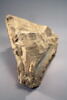 Fragment d'arcature sculpté sur quatre faces, décoré de moulures, de rosettes, de pinacles et de feuillage, image 3/5