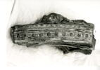 Fragment d'arcature sculpté sur quatre faces, décoré de moulures, de rosettes, de pinacles et de feuillage, image 1/5
