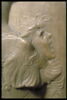 Scipion, image 2/5
