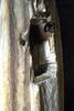 La Vierge et l'Enfant, image 12/14