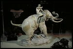 Indien monté sur un éléphant, image 6/8