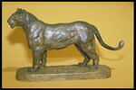 Lionne d'Algérie, image 5/5