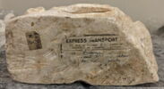 Résurrection d'une fillette de L'Isle-sur-Sorgue, image 2/18