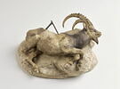 Bouquetin mort, image 1/8