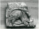 Un oiseau et la tête d'un oiseau, dans des rinceaux, image 2/2