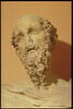 Terme à figure d'homme barbu, image 4/6