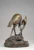 Héron et sa grenouille, image 5/7