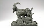 Bouc et chèvre, image 1/8