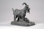 Bouc et chèvre, image 4/8