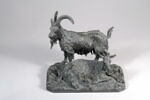 Bouc et chèvre, image 7/8