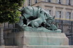 Rhinocéros attaqué par un tigre, image 3/10