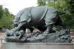 Rhinocéros attaqué par un tigre, image 5/10