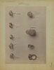 Bague ornée de têtes de dragons, image 5/5