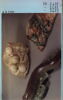 Fragment : Anguille, image 3/3