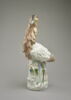 Coq d'Inde, image 2/5