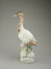 Coq d'Inde, image 1/5