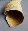 Olifant, image 5/9
