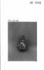 Montre ronde, image 9/9