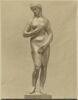 Statuette : Vénus pudique, image 4/4