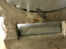 Chaise d'un mobilier de salon, comprenant dix pièces, image 3/12